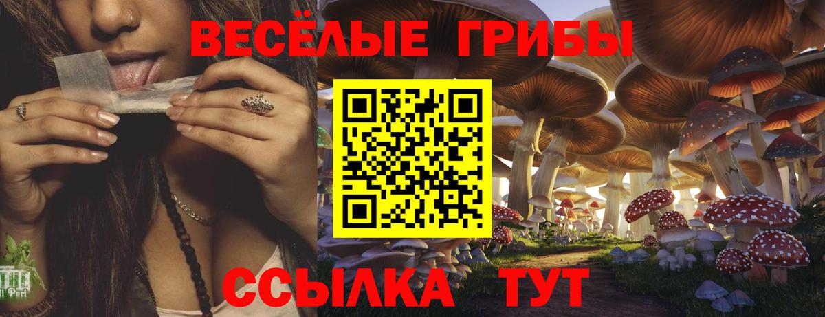 Зима  Галлюциногенные грибы Cubensis  Вход с VPN 